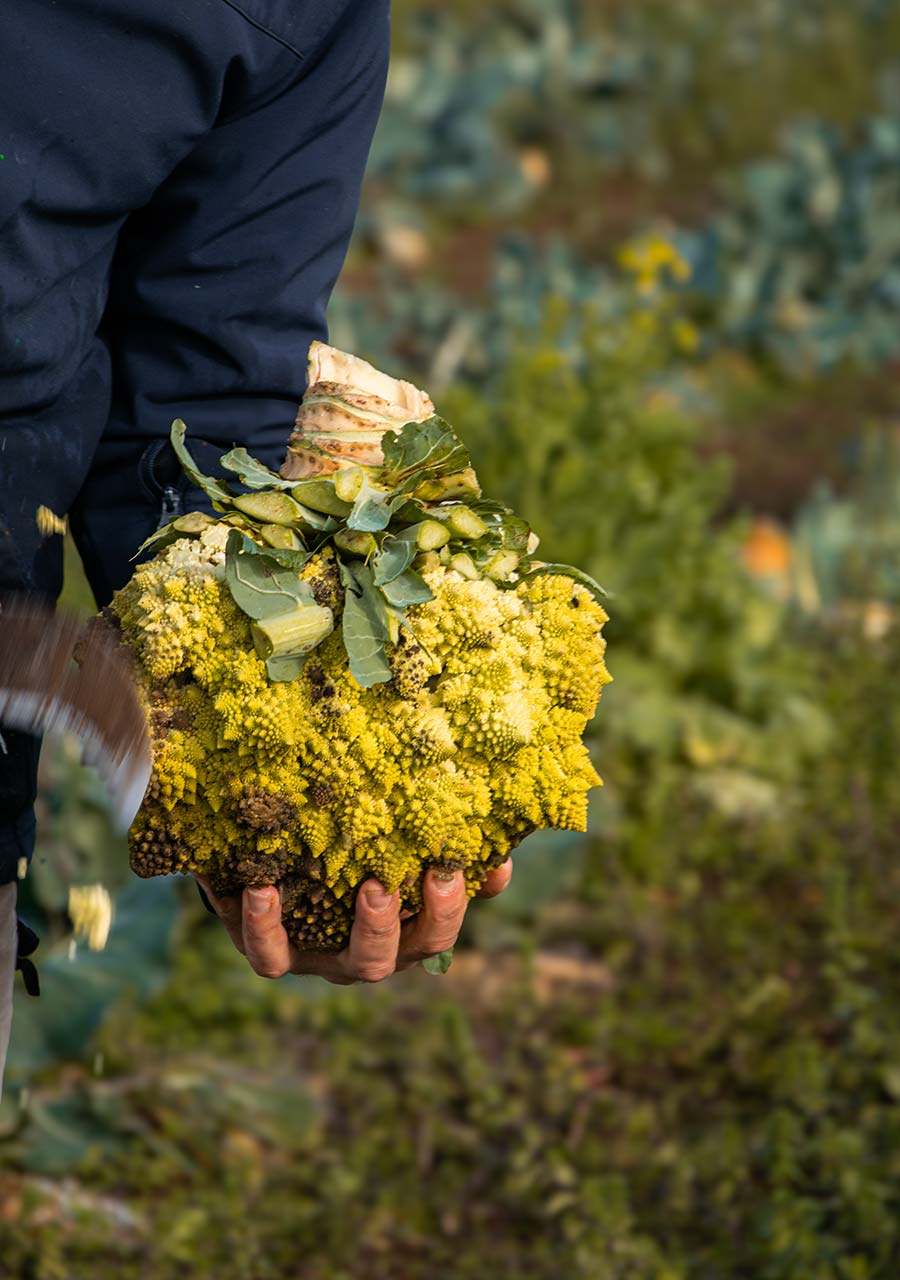 Agriturismo San Germano