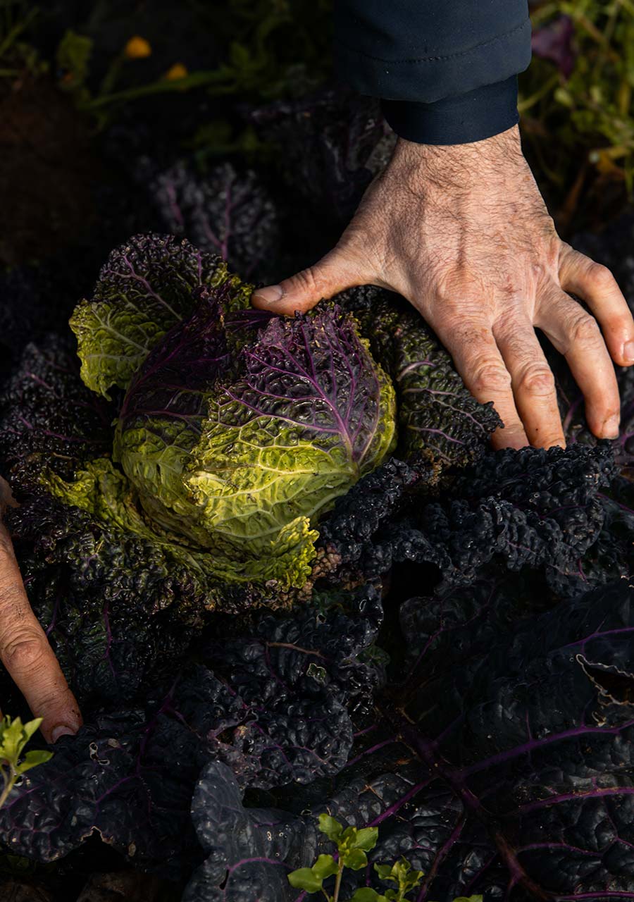 Agriturismo San Germano