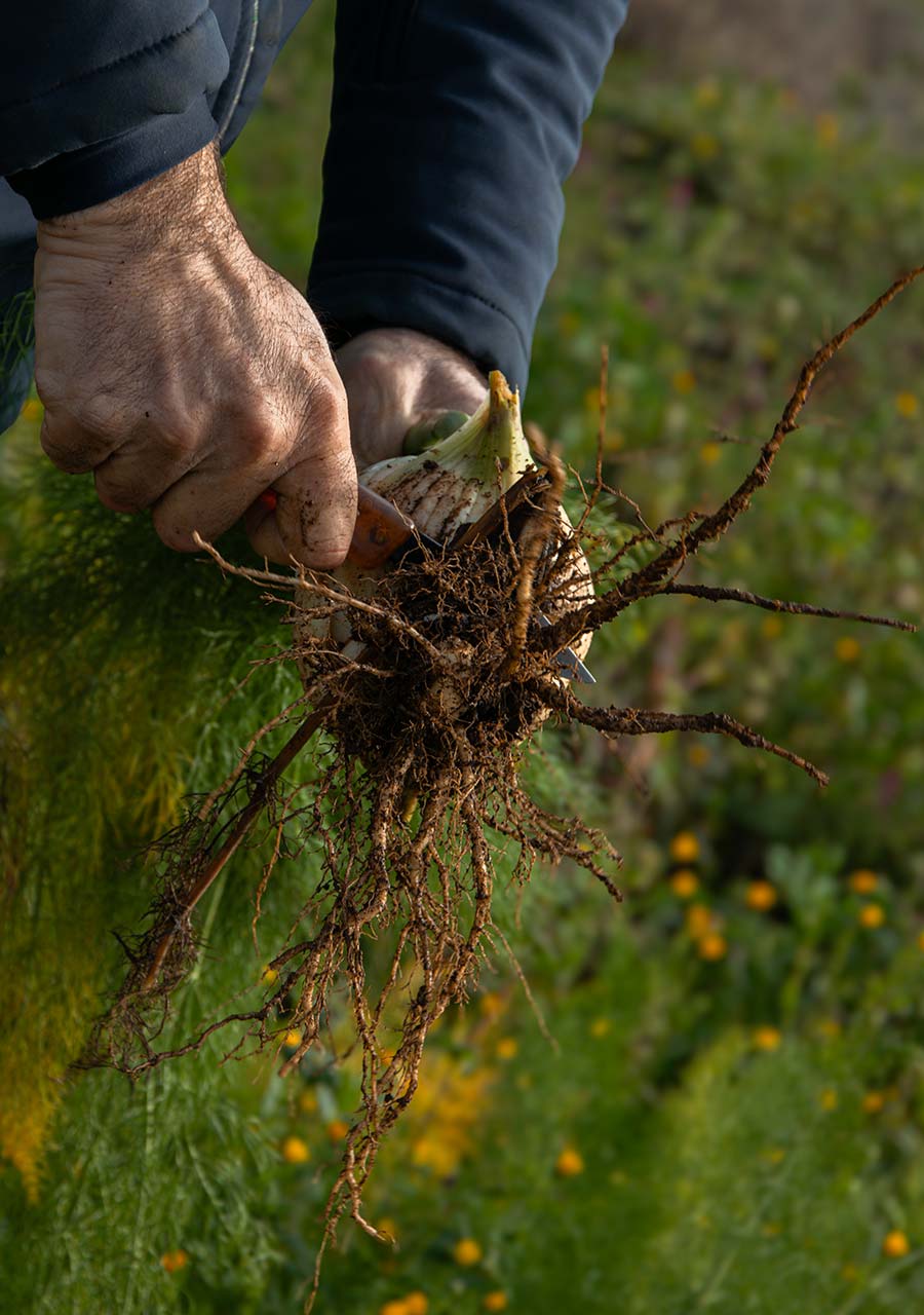 Agriturismo San Germano