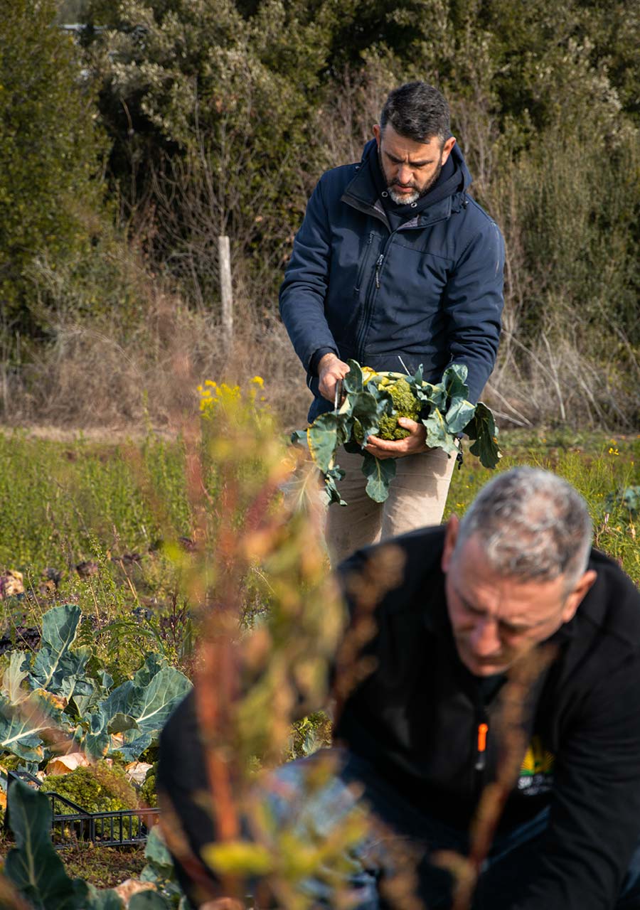 Agriturismo San Germano